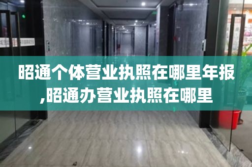 昭通个体营业执照在哪里年报,昭通办营业执照在哪里