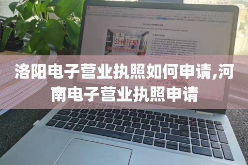 洛阳电子营业执照如何申请,河南电子营业执照申请