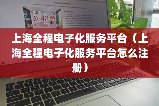 上海全程电子化服务平台（上海全程电子化服务平台怎么注册）