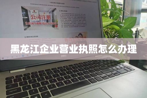 黑龙江企业营业执照怎么办理