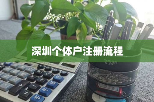 深圳个体户注册流程