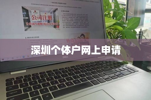 深圳个体户网上申请