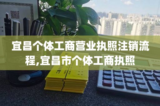 宜昌个体工商营业执照注销流程,宜昌市个体工商执照